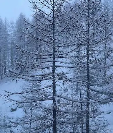 Skiing Dacha La Coquille